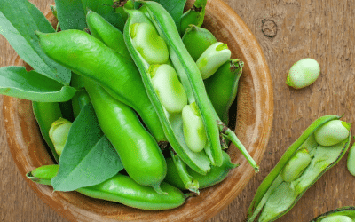 G6PD Deficiency Foods to Avoid: Staying Safe With The Right Products, Medications, and Diet